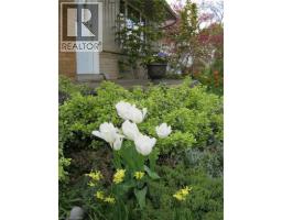 25 DIETZ Avenue S - 24