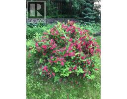 25 DIETZ Avenue S - 25