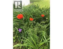 25 DIETZ Avenue S - 26