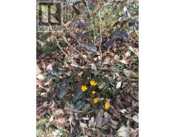 25 DIETZ Avenue S - 27