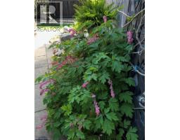 296 WEBER Street E - 37