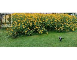 108 NEW LAKESHORE Road - 33