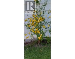 108 NEW LAKESHORE Road - 35