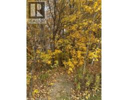 120 PAULINE JOHNSON Road - 24