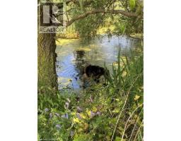 120 PAULINE JOHNSON Road - 5