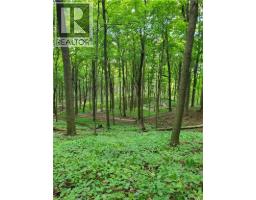 573 SUNDEW Drive - 36