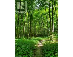 573 SUNDEW Drive - 37