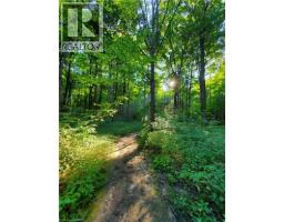 573 SUNDEW Drive - 38