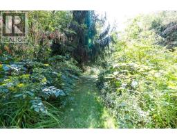 6663 CONCESSION ROAD 2 - 41