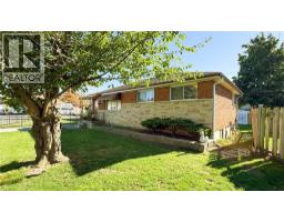 78 DOROTHY Street - 3