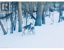 33 MANITOULIN Crescent - 43