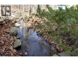 938 COURTLAND Drive - 34