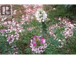 938 COURTLAND Drive - 36