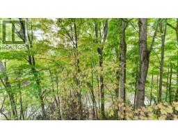 177 PIPER Street - 50