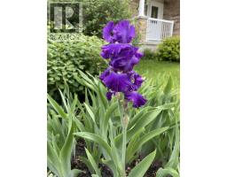 126 SNOWDROP Crescent - 38