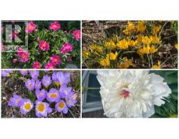 312 FARADAY Court - 49