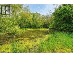 99 SAWMILL Road - 37