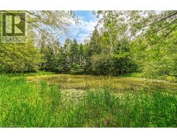 99 SAWMILL Road - 38