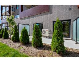 408 DUNDAS Street S UnitNo. 101 - 17