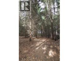 18 BAIRD ST N - 24