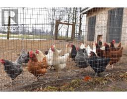 1344 HIGHWAY 8 Highway - 43