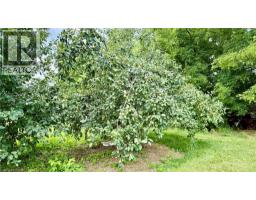 1665 COCKSHUTT Road - 28