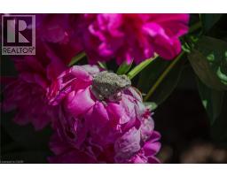 2952 POWERLINE Road W - 39