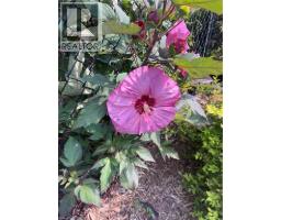 2952 POWERLINE Road W - 40