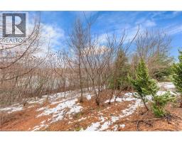 67 MAITLAND Street - 41