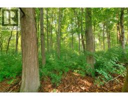 17 WOODS EDGE Court UnitNo. 165 - 30