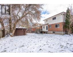 7 CAMPBELL Place - 40