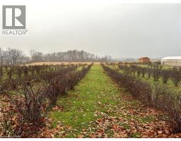 817 CHARLOTTEVILLE EAST QUARTERLINE Road E - 38