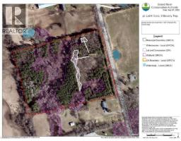 PT LT H SHELLARD Road - 2