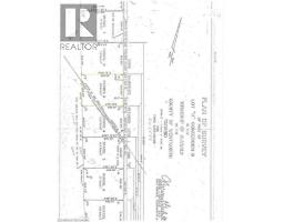 PT LT H SHELLARD Road - 3