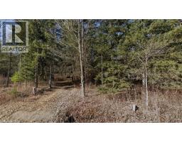 PT LT H SHELLARD Road - 5