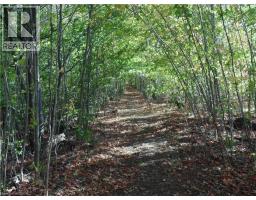 45 BLUENOSE Drive - 48