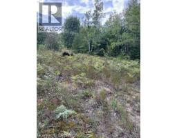 PT LOT 7 WEST IPPERWASH Road - 2