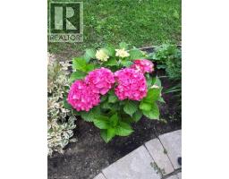 542 JERSEYVILLE Road W - 44