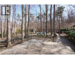 24 PRIMROSE Path - 35