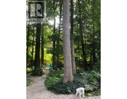 24 PRIMROSE Path - 42