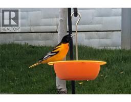 19 DYMENT Court - 31