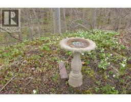 34 BIRCH Avenue - 42