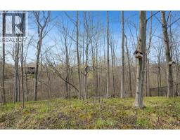 34 BIRCH Avenue - 45