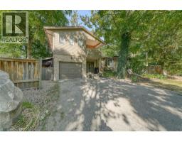 248 VANSITTART Avenue - 2