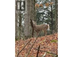 1078 BERLETT S Road - 44