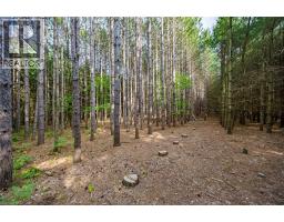 1353 CHARLOTTEVILLE RD. 8 Road - 34