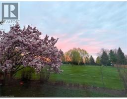 51 NATHANIEL Crescent - 40