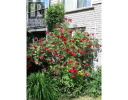 663 HEATHCLIFFE Place - 37