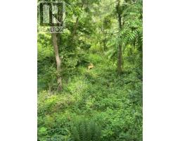 163 FOUNTAIN Street N - 7