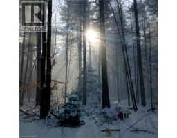 535 MCDOWELL Road E - 41